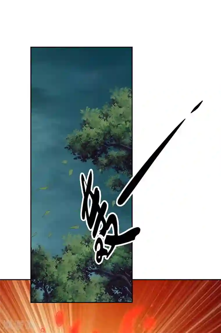 倾城狂妃第33话