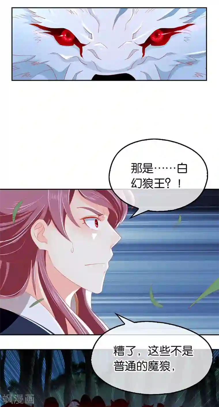 倾城狂妃第33话