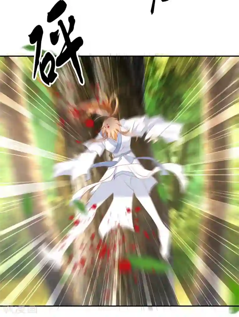 倾城狂妃第36话