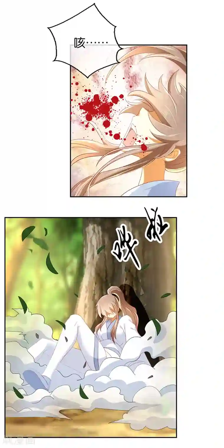 倾城狂妃第36话