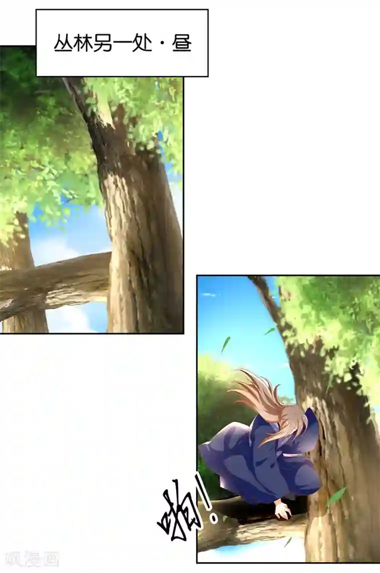 倾城狂妃第36话