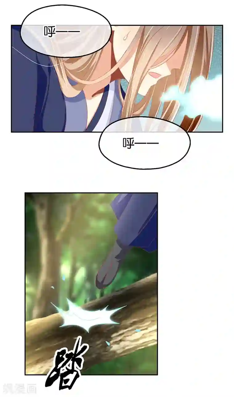 倾城狂妃第36话