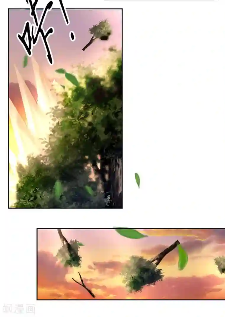 倾城狂妃第39话