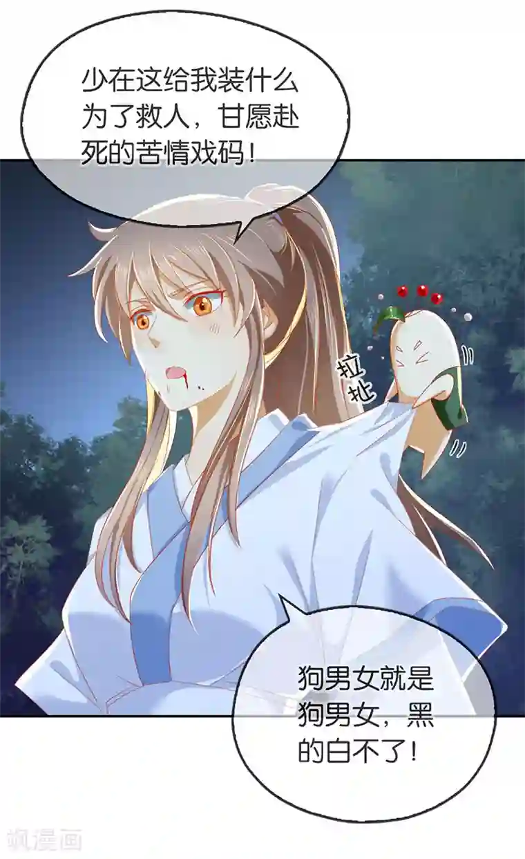 倾城狂妃第42话