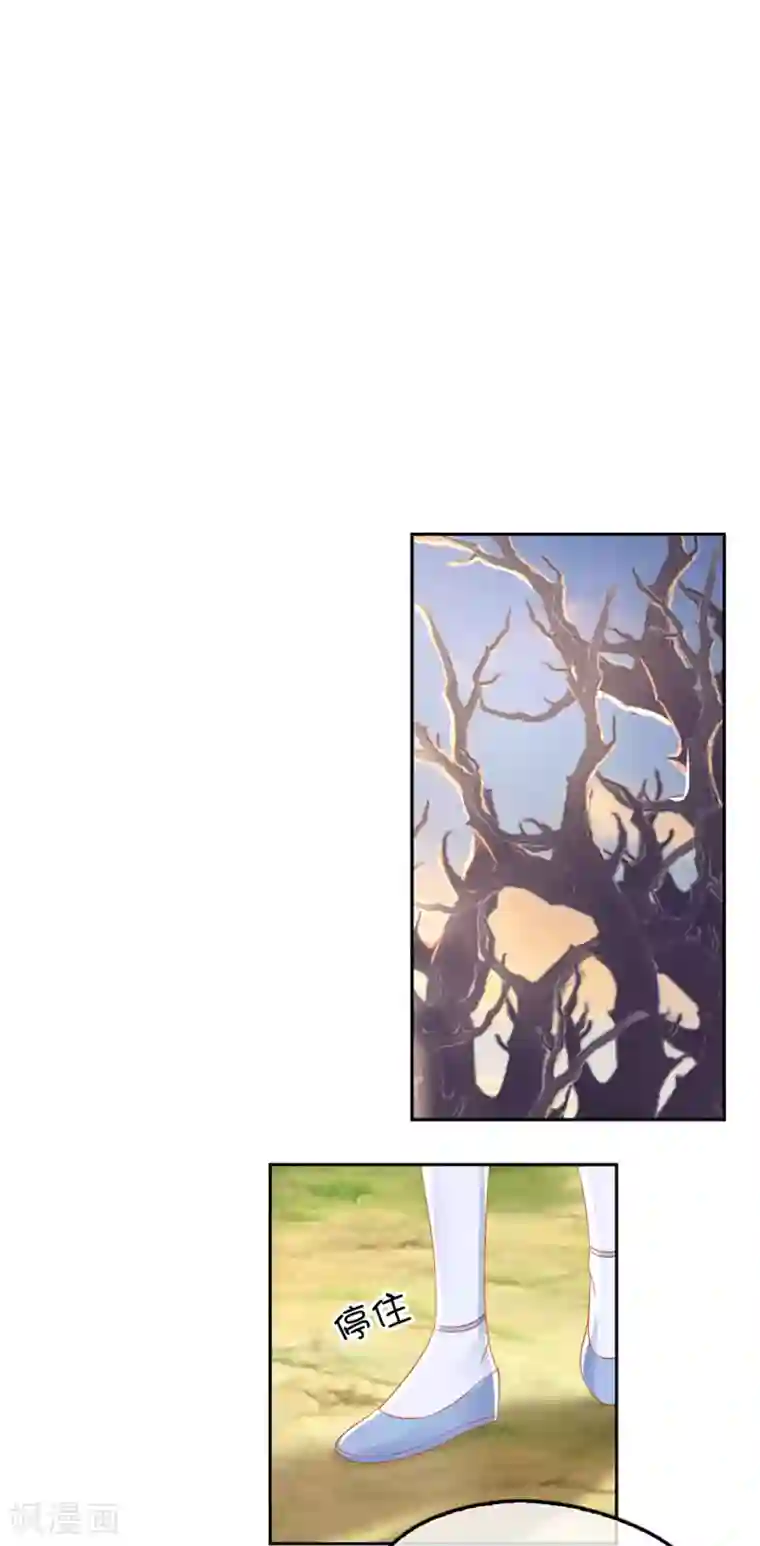 倾城狂妃第46话