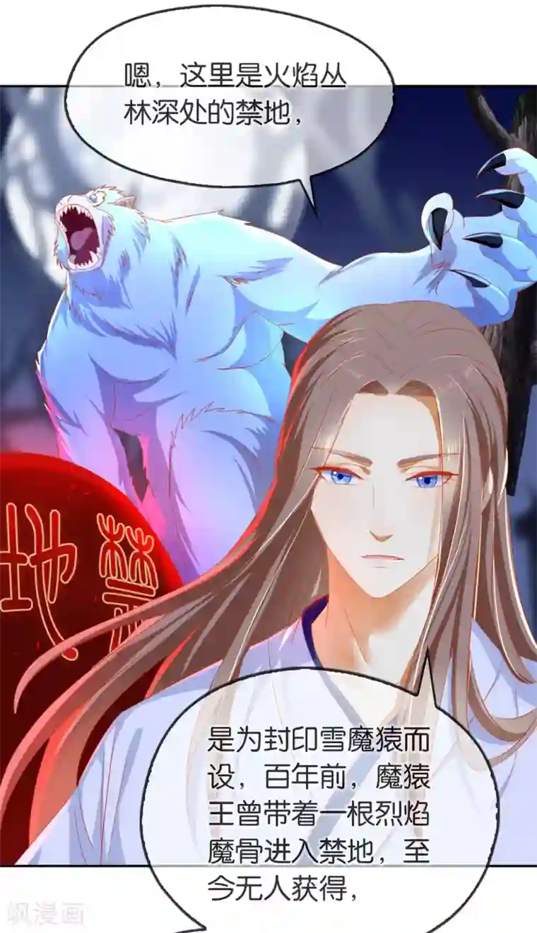 倾城狂妃第46话