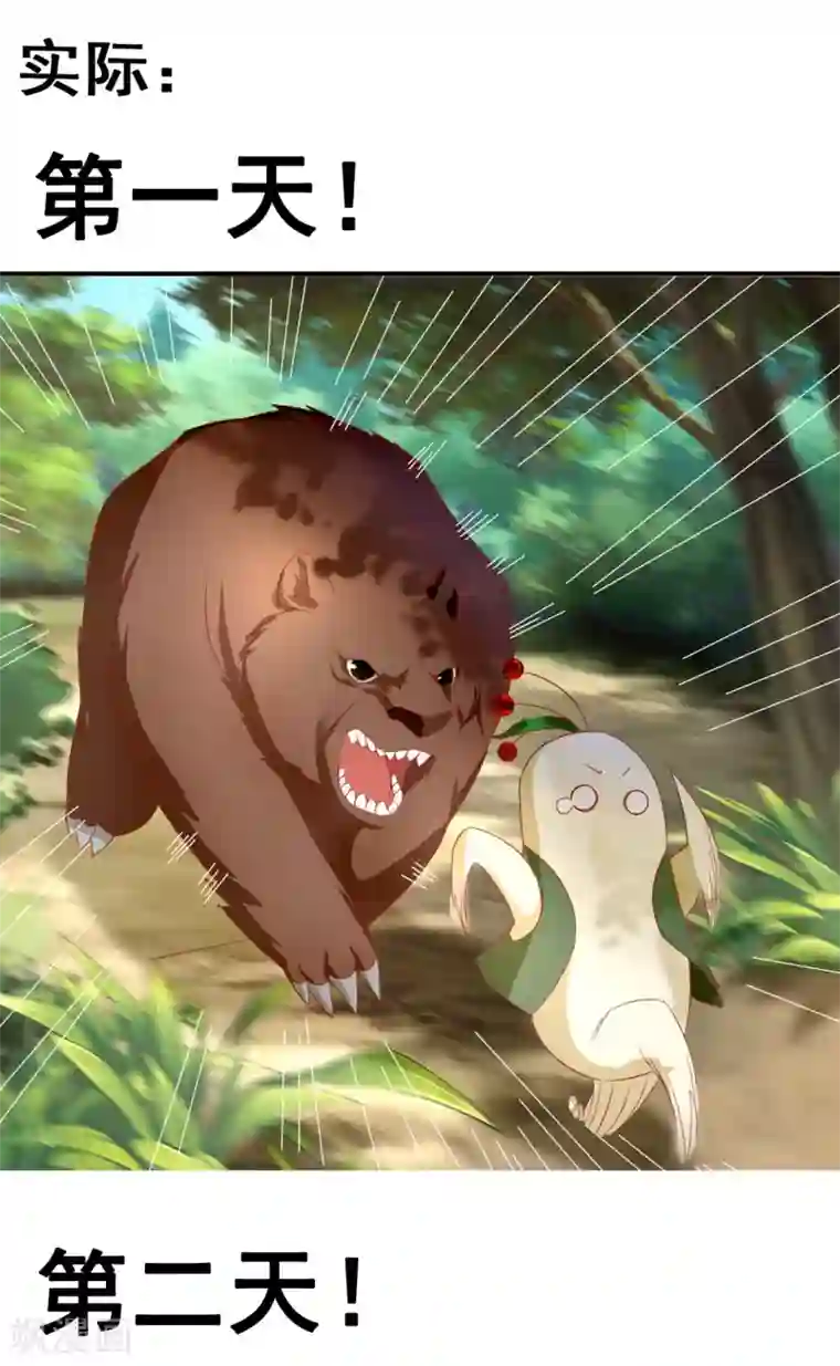 倾城狂妃番外 小人参