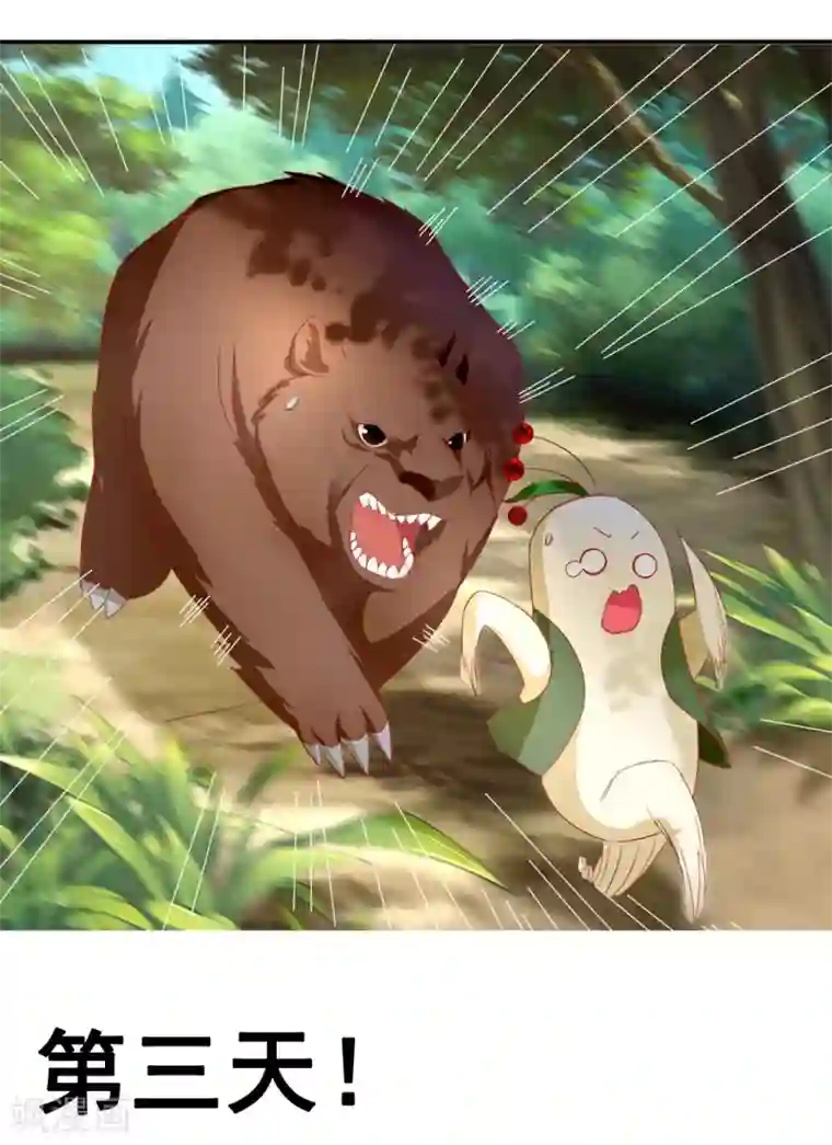 倾城狂妃番外 小人参