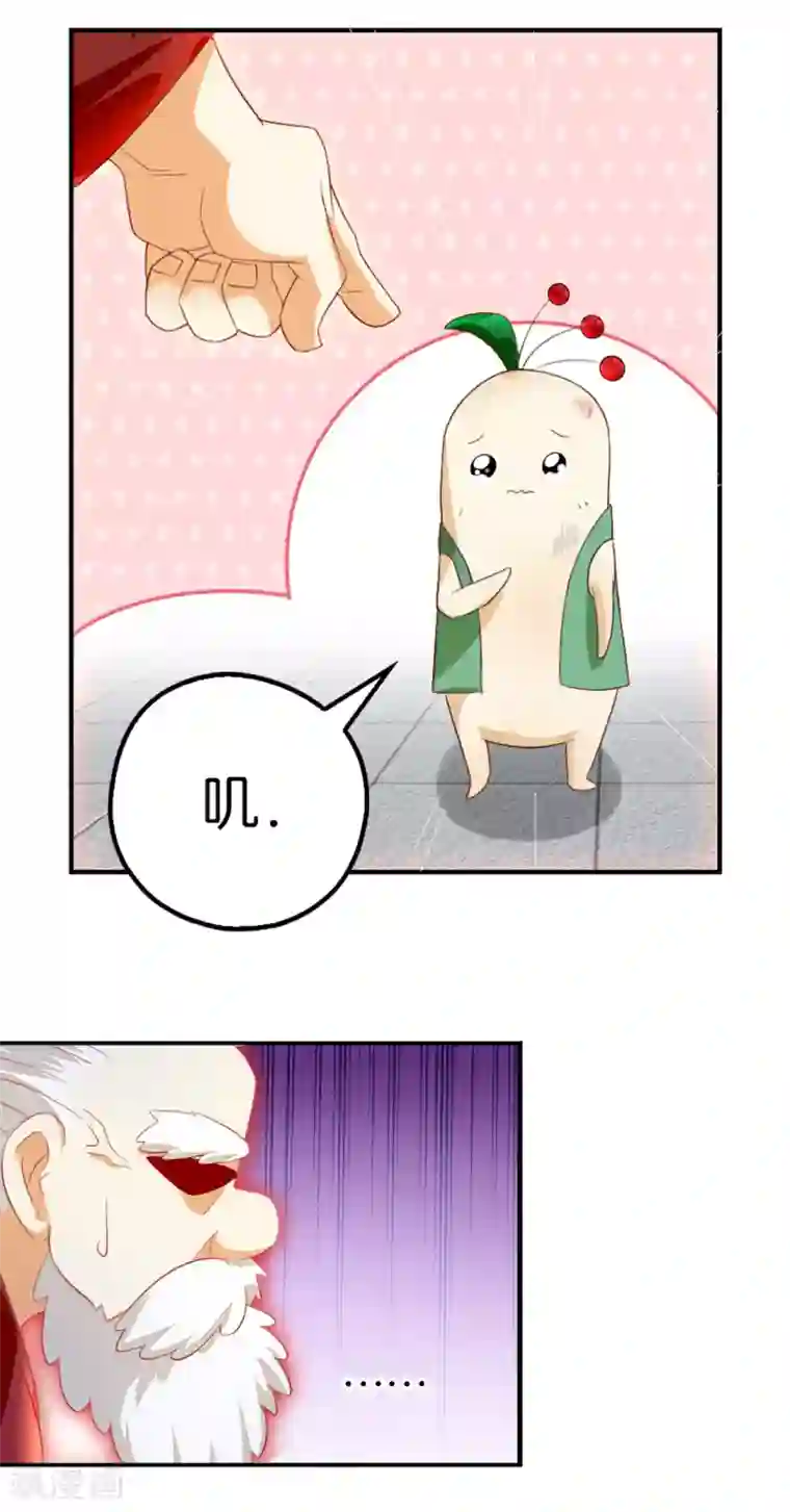 倾城狂妃番外 小人参