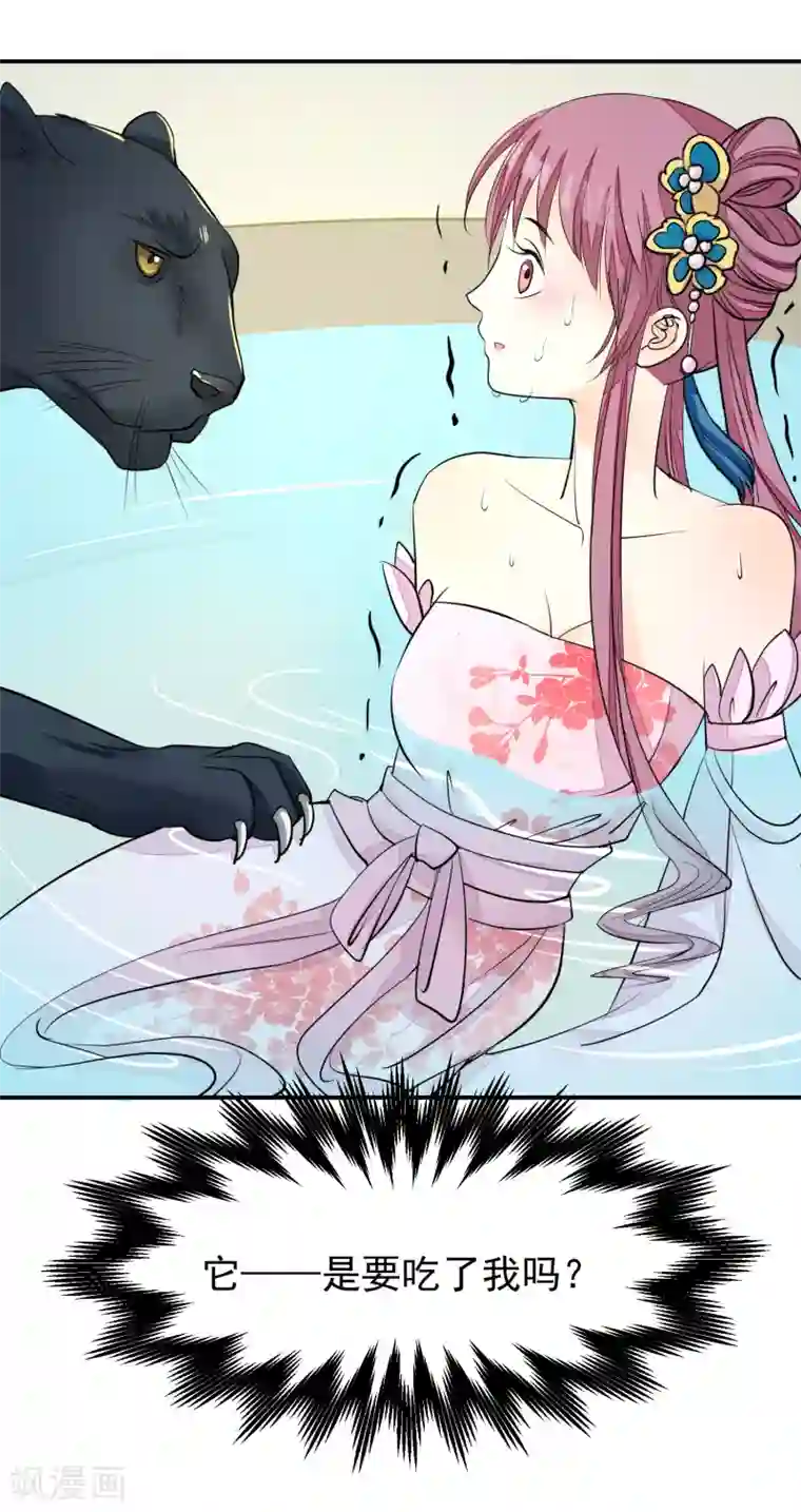 读档皇后第16话 皇帝的大猫