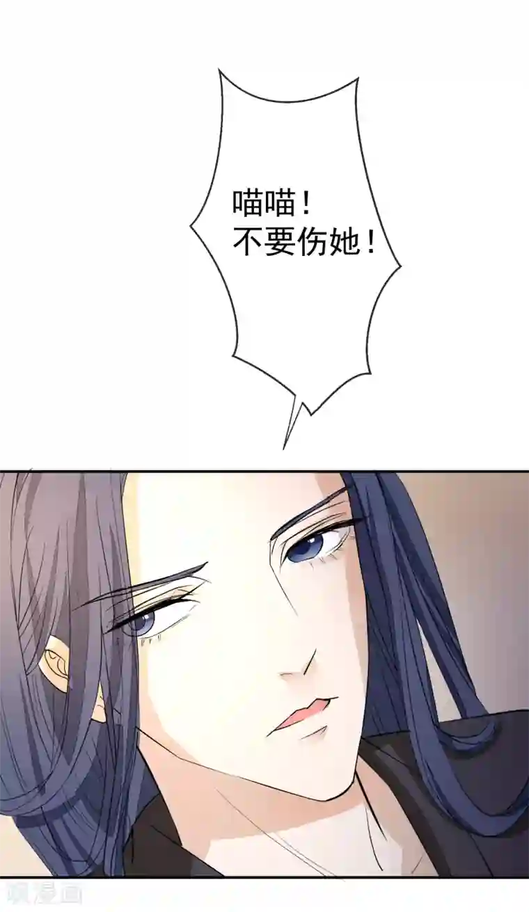 读档皇后第16话 皇帝的大猫