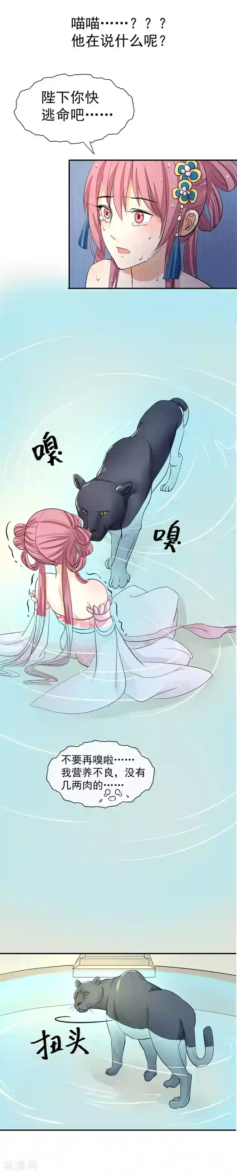 读档皇后第16话 皇帝的大猫