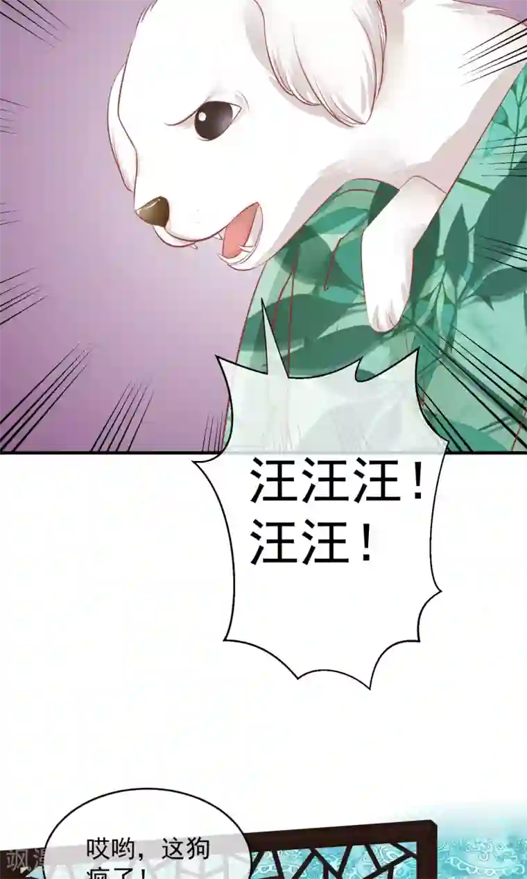 读档皇后第44话 狗食