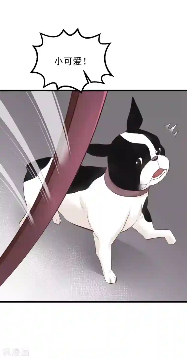 读档皇后第77话 打死这只狗