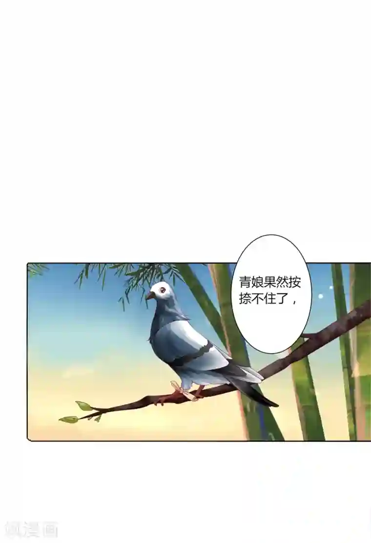 拐个皇帝当偶像第28话 青娘的身份