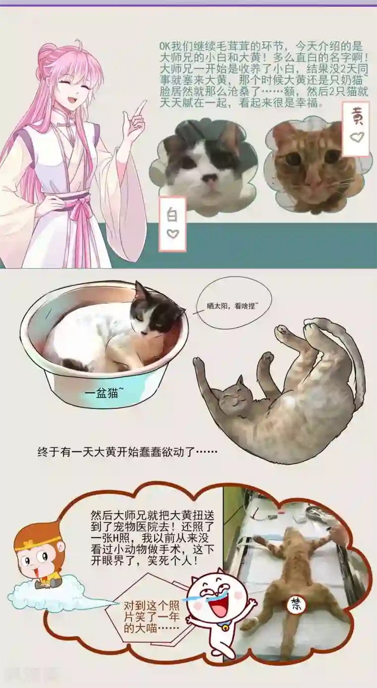 拐个皇帝当偶像第54话 不寻常的夜晚