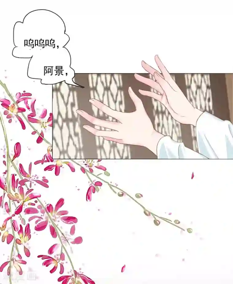 拐个皇帝当偶像第70话 此生，我都会保护好你的