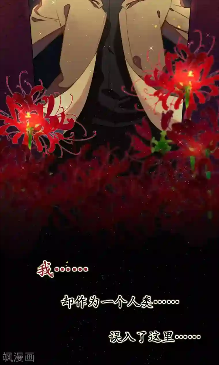 极乐幻想夜预告