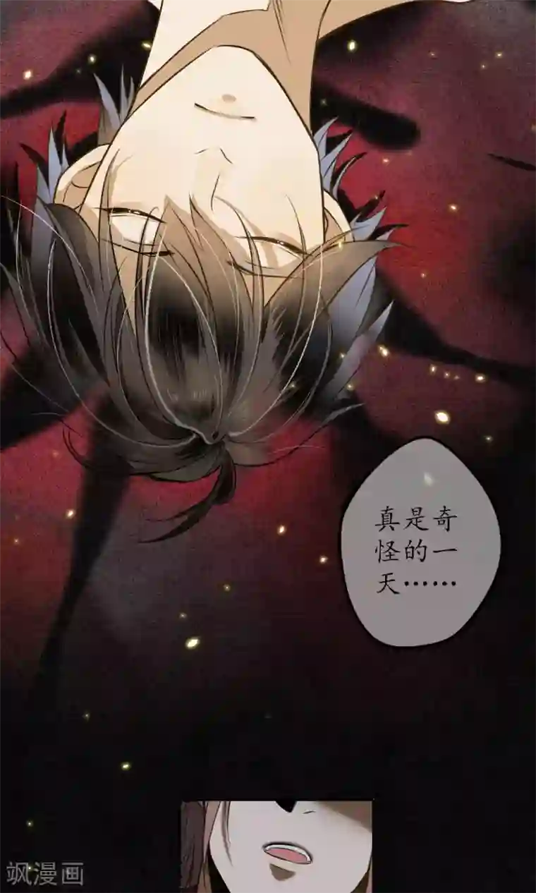 人鱼的尾巴为什么不能摸第7话 城主看上我了？