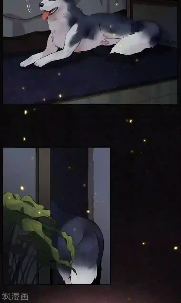 极乐幻想夜第10话 豆浆鱼火锅！