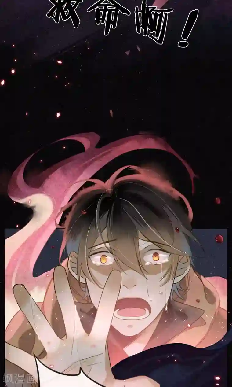 极乐幻想夜第17话 极乐城的真相