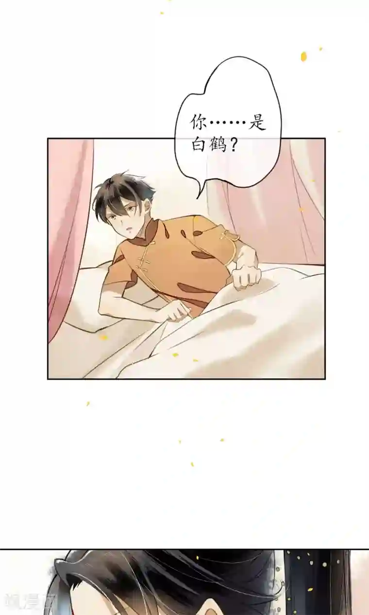 极乐幻想夜第17话 极乐城的真相