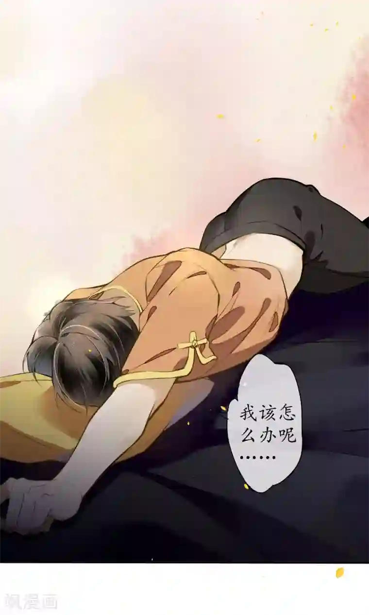 极乐幻想夜第19话 精致的城主们