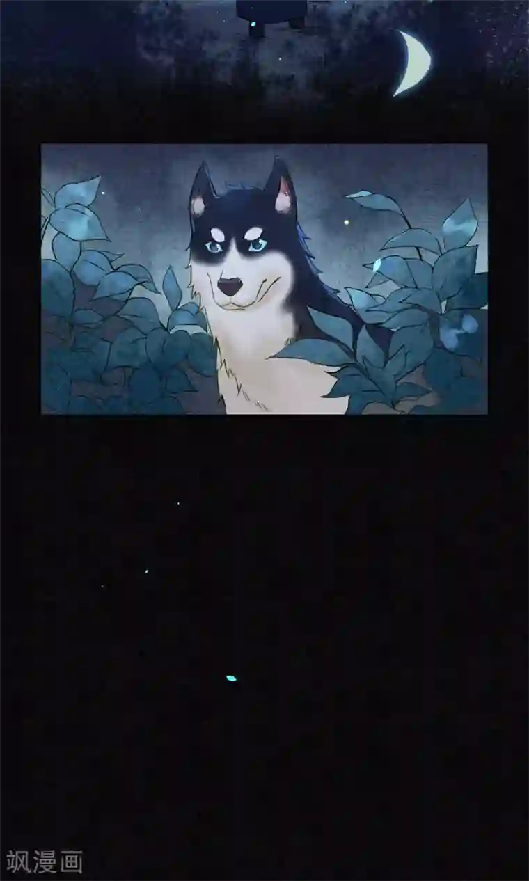 极乐幻想夜第33话 突如其来的危险