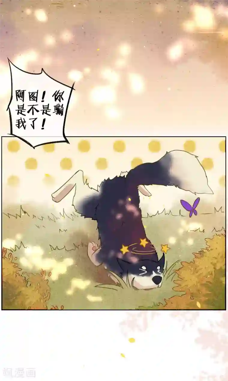 极乐幻想夜第43话 不同寻常的阿图