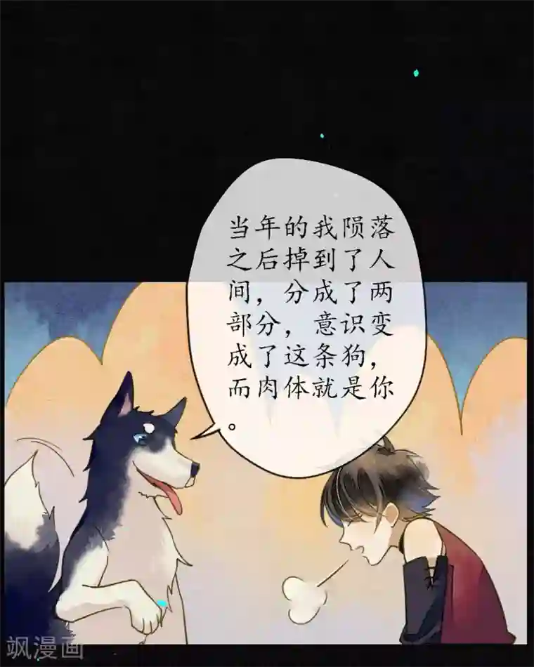 极乐幻想夜第63话 人兽合体浮屠重生