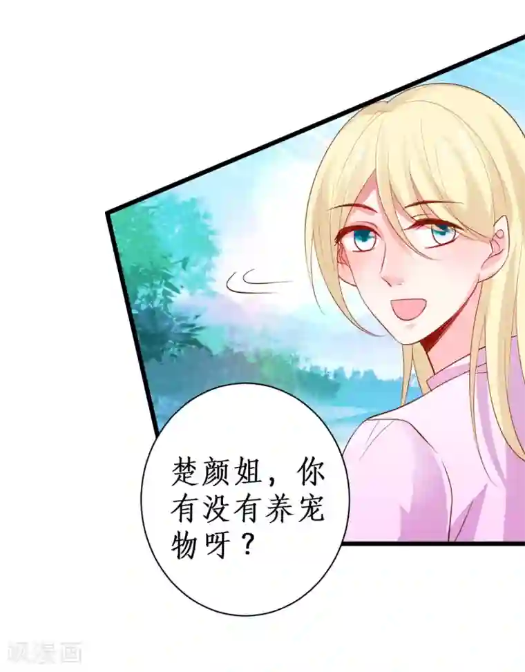 拐个兰陵王做影帝第87话 家有忠犬小狼狗~嗷呜！