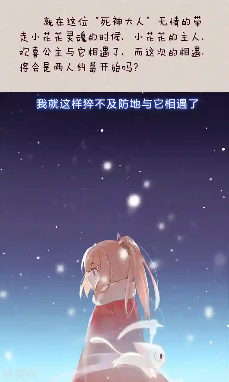 我的猫仙大人预告