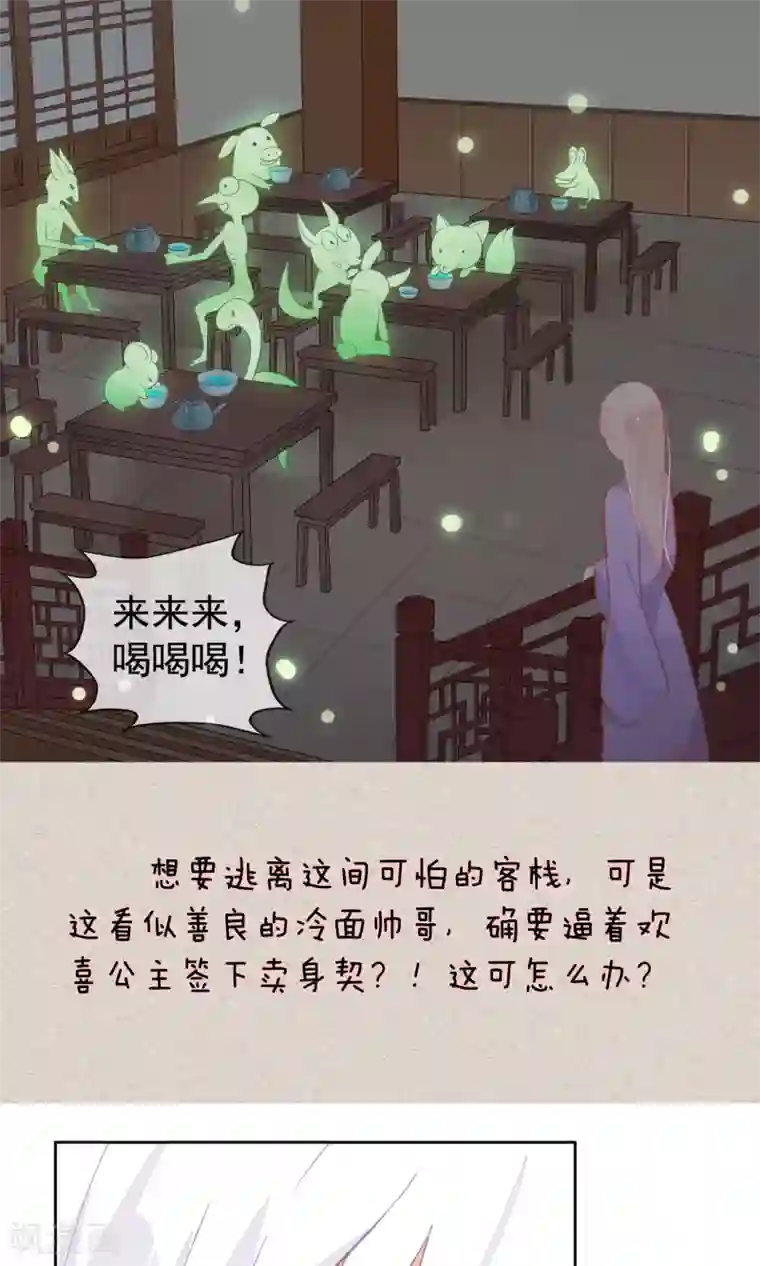 我的猫仙大人预告