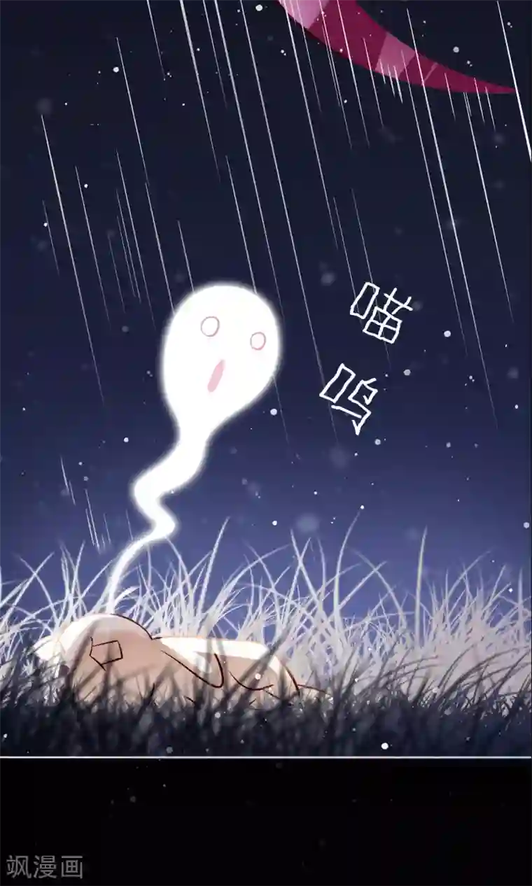 我的猫仙大人序章 与白色精灵的相遇