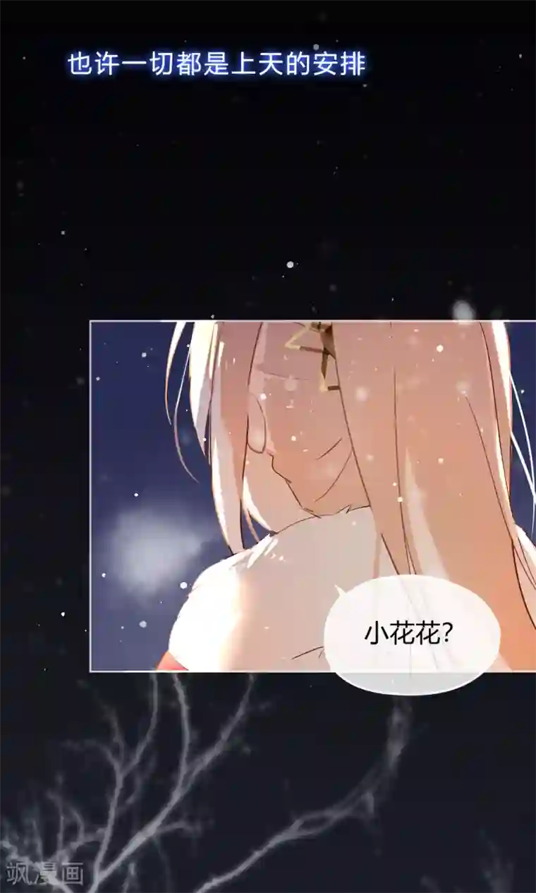 我的猫仙大人序章 与白色精灵的相遇