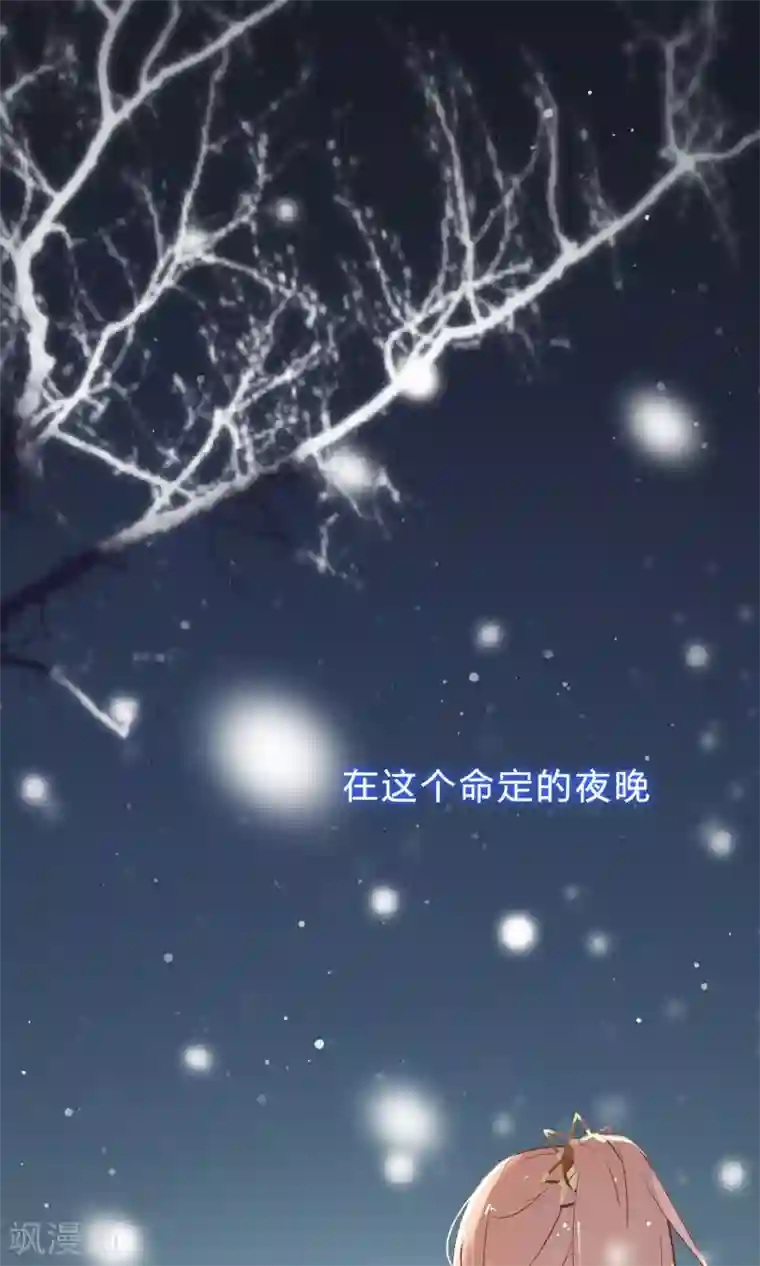 我的猫仙大人序章 与白色精灵的相遇