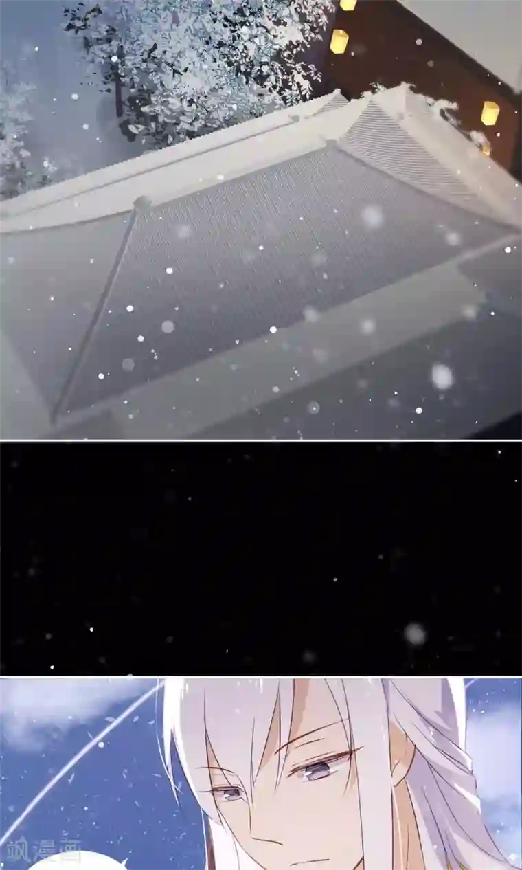 我的猫仙大人序章 与白色精灵的相遇