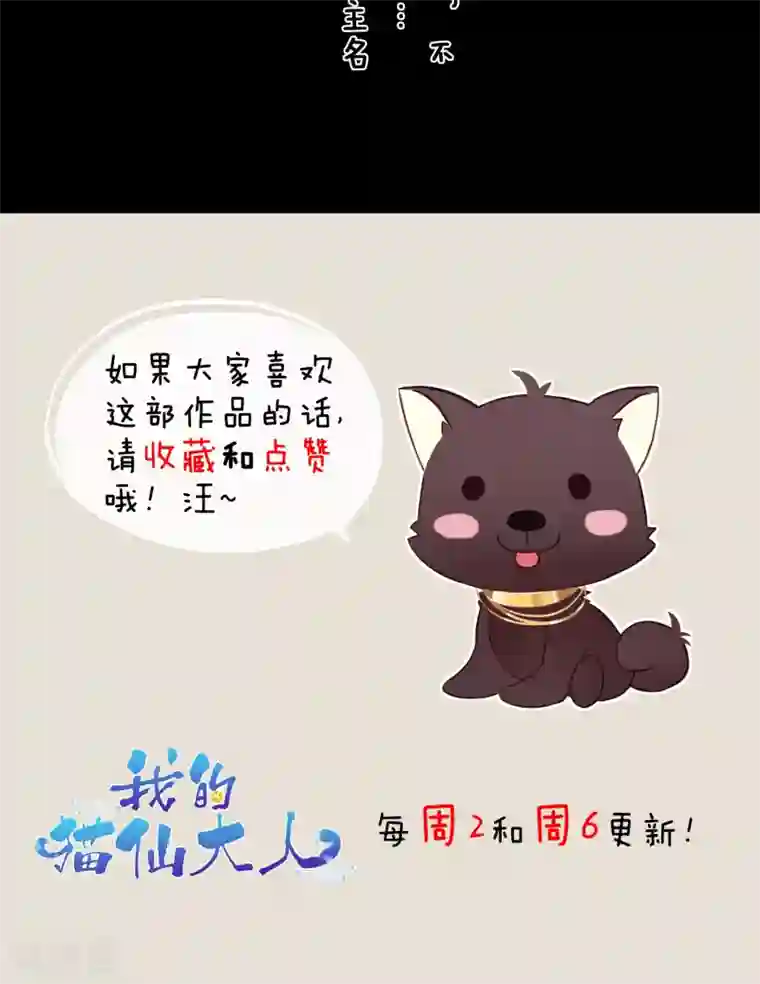 我的猫仙大人序章 与白色精灵的相遇