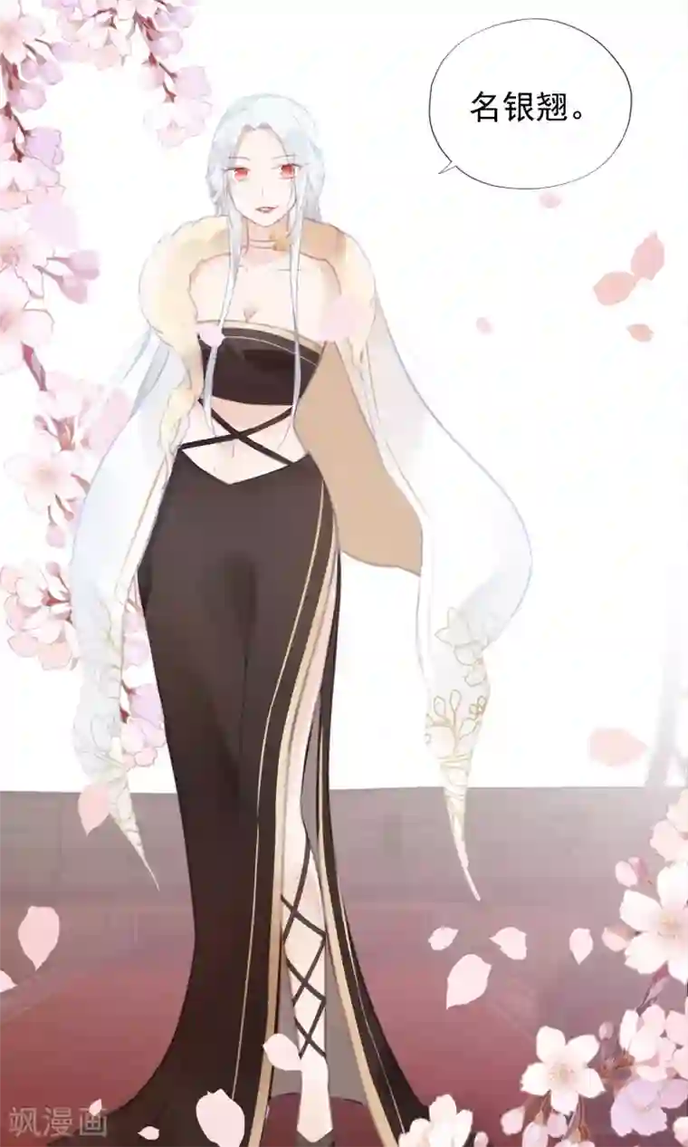 我的猫仙大人第1话 欢喜公主