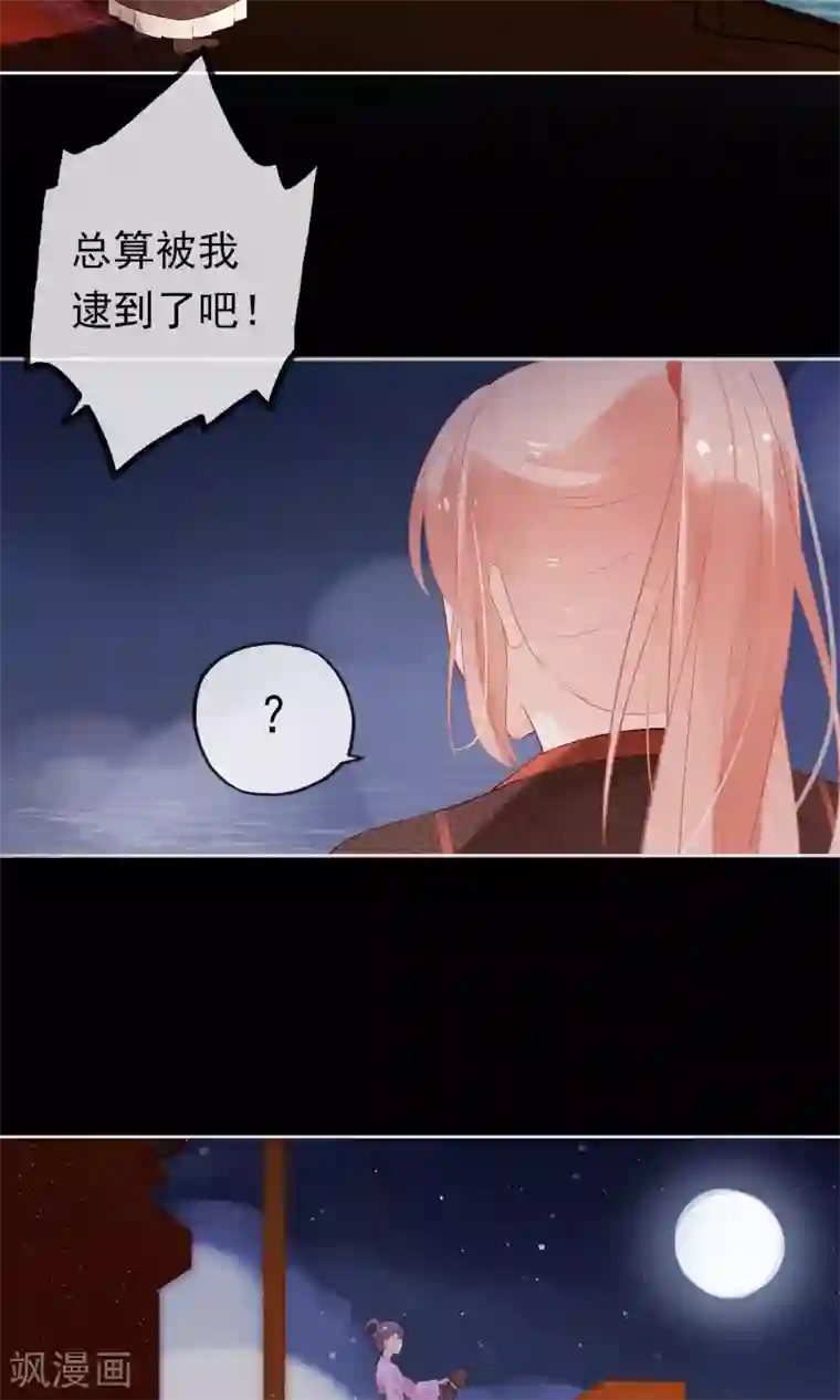 我的猫仙大人第2话 公子救救我！