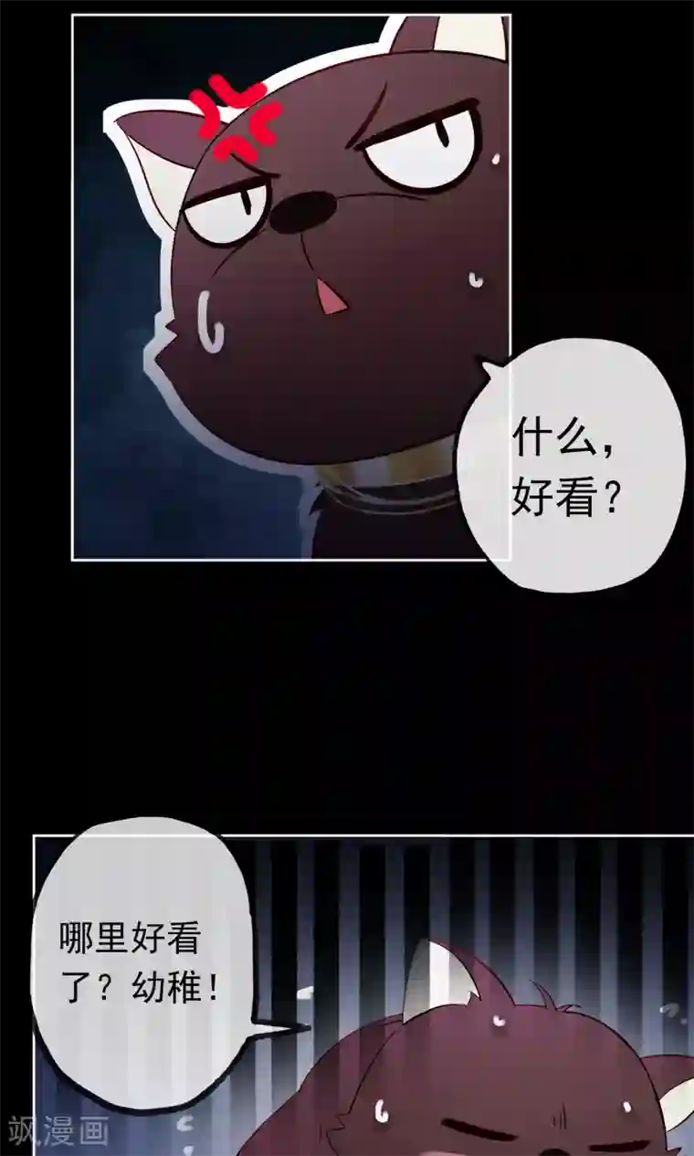 我的猫仙大人第2话 公子救救我！