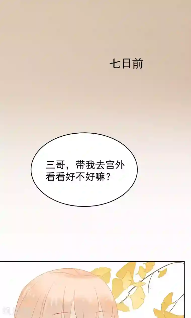 我的猫仙大人第3话 美如天仙的男人