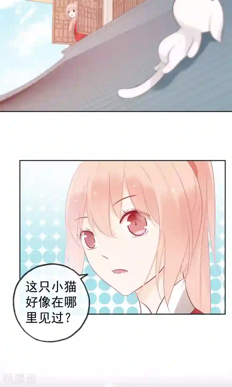 我的猫仙大人第4话 幽灵客栈？！