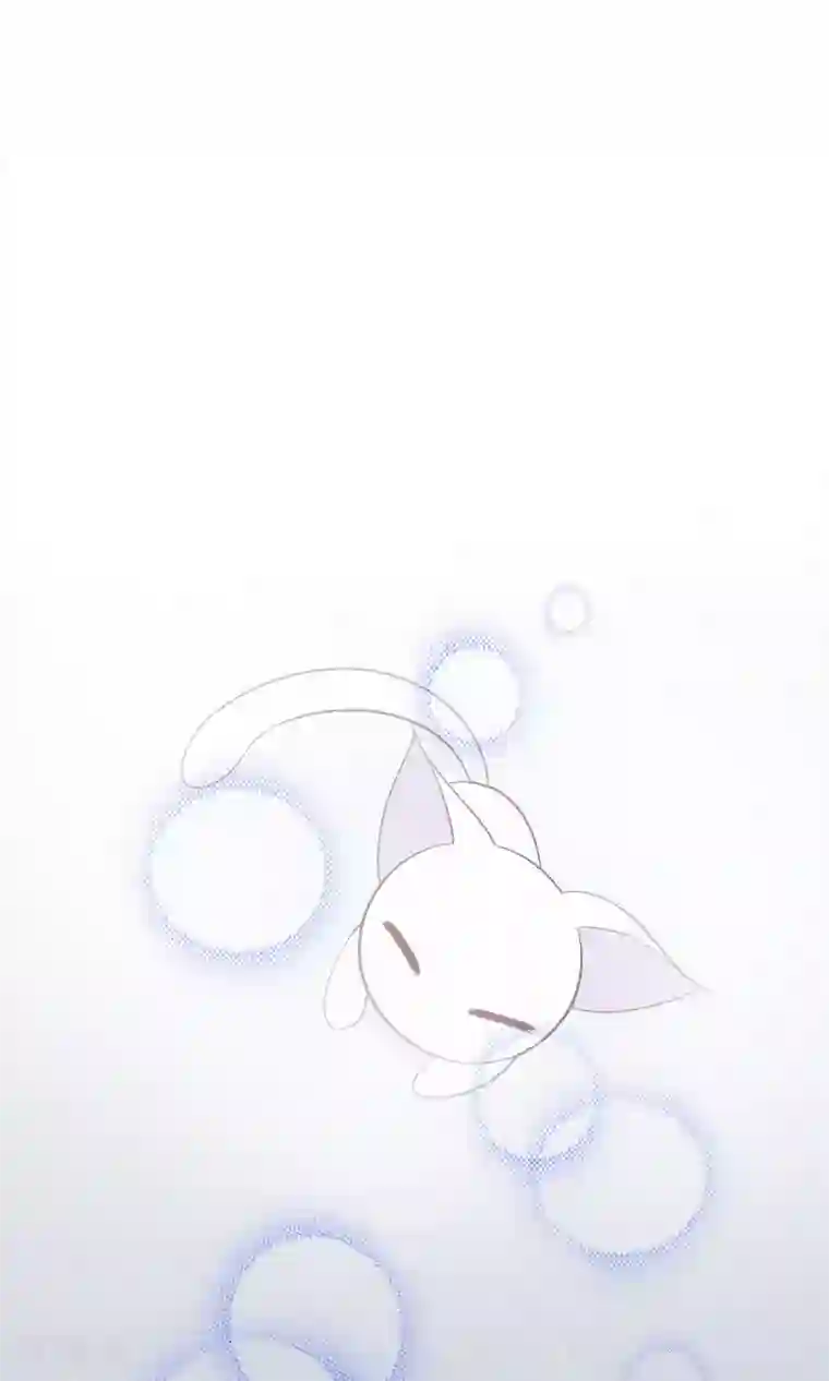 我的猫仙大人第4话 幽灵客栈？！