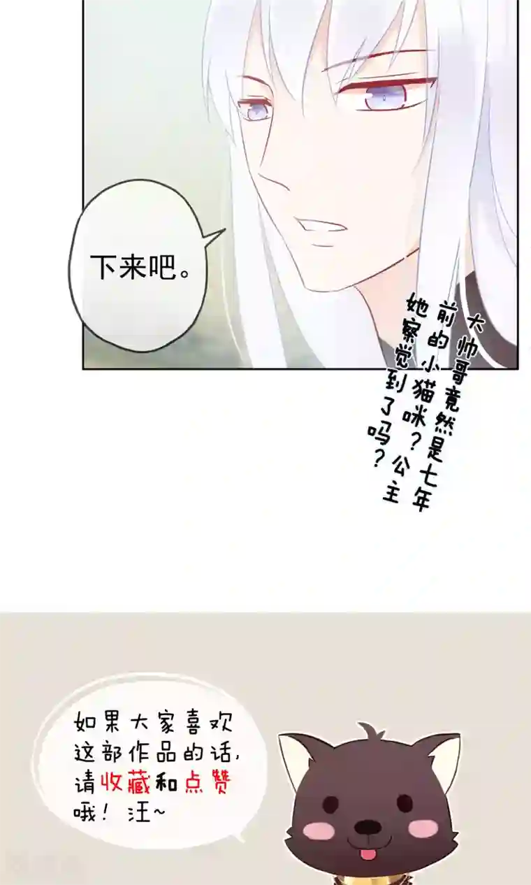 我的猫仙大人第4话 幽灵客栈？！