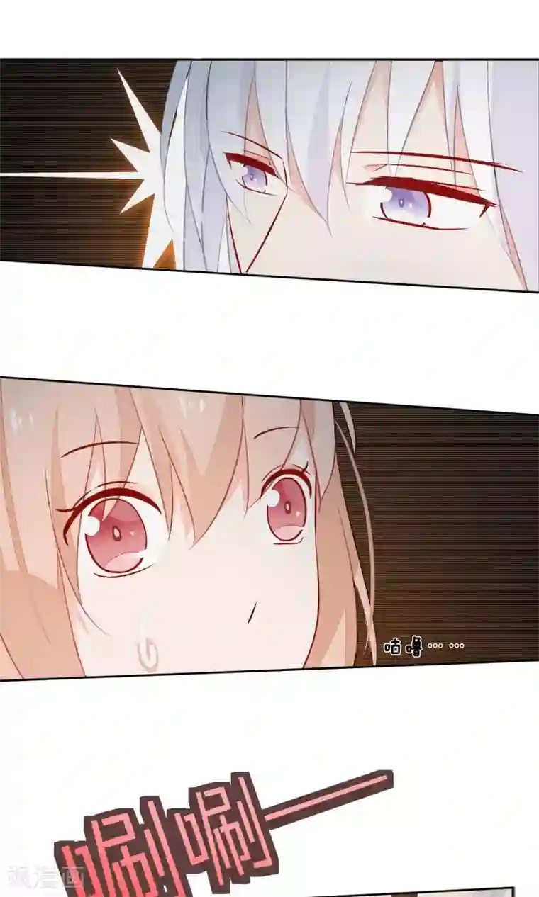 我的猫仙大人第6话 无情的猫大人