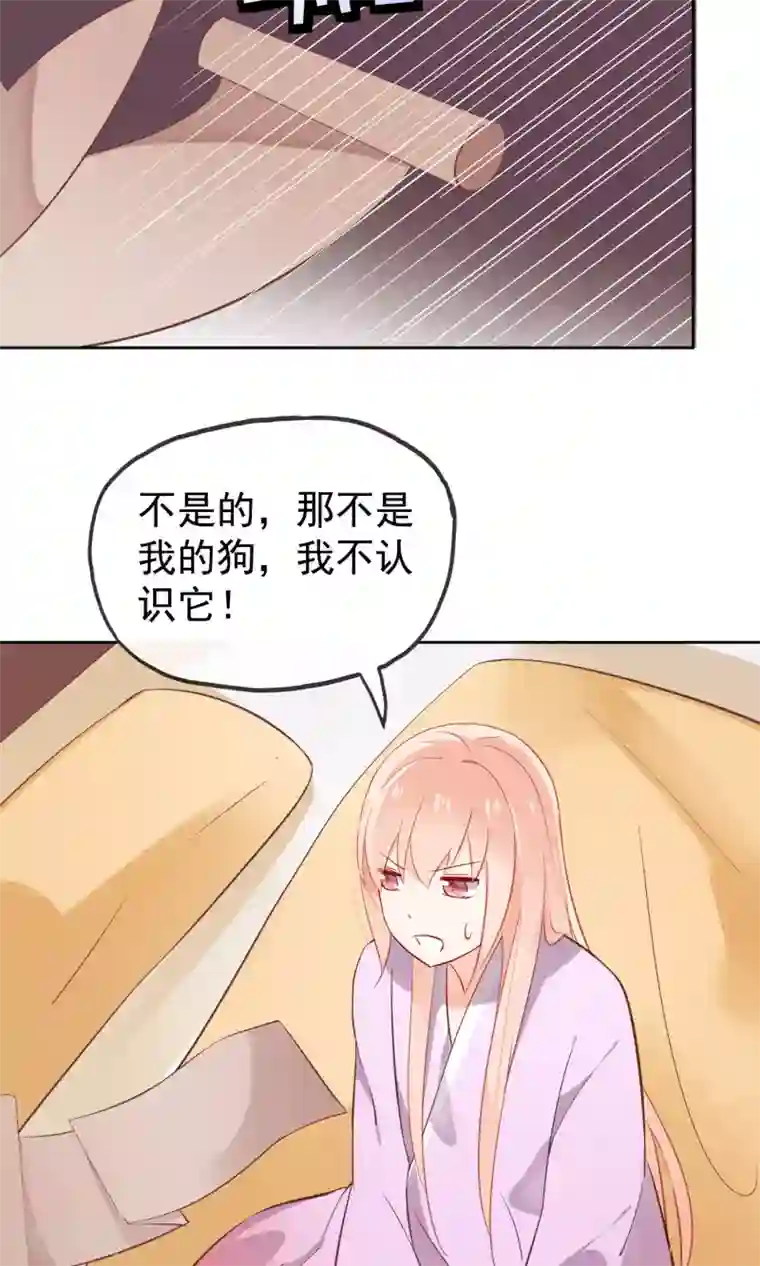 我的猫仙大人第6话 无情的猫大人