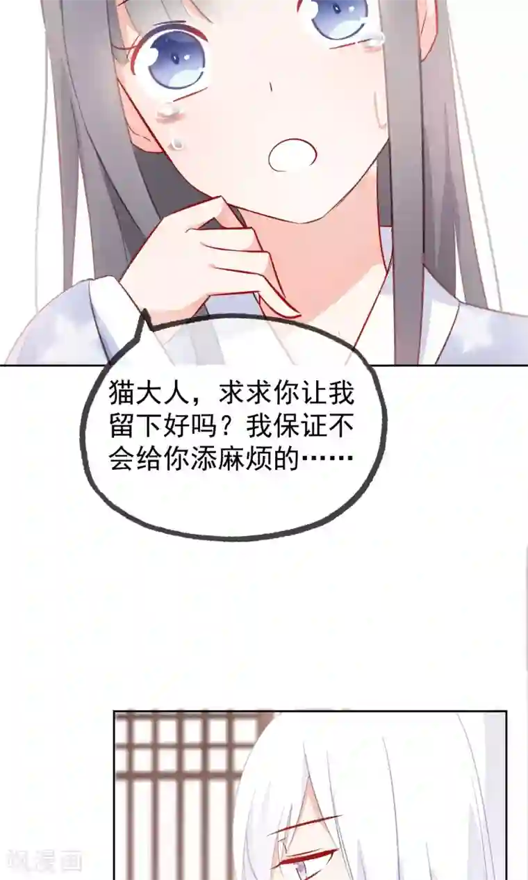 我的猫仙大人第6话 无情的猫大人