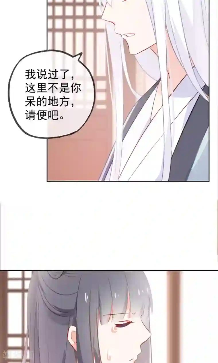 我的猫仙大人第6话 无情的猫大人