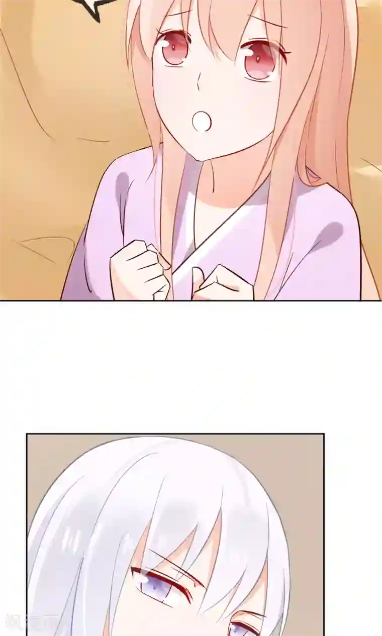 我的猫仙大人第6话 无情的猫大人